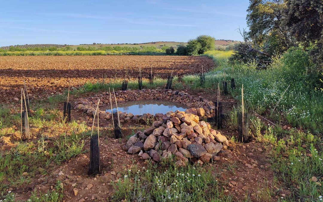 Fomento de biodiversidad en agroecosistemas