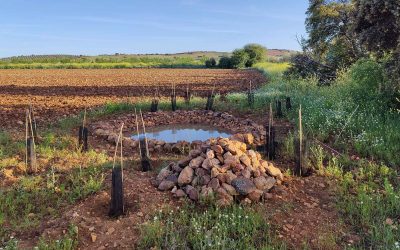 Fomento de biodiversidad en agroecosistemas
