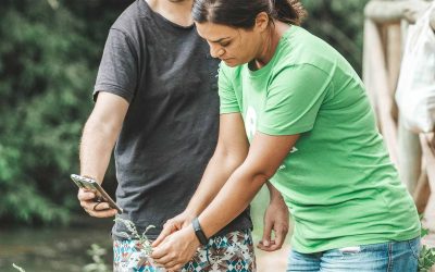Formación, educación y divulgación ambiental