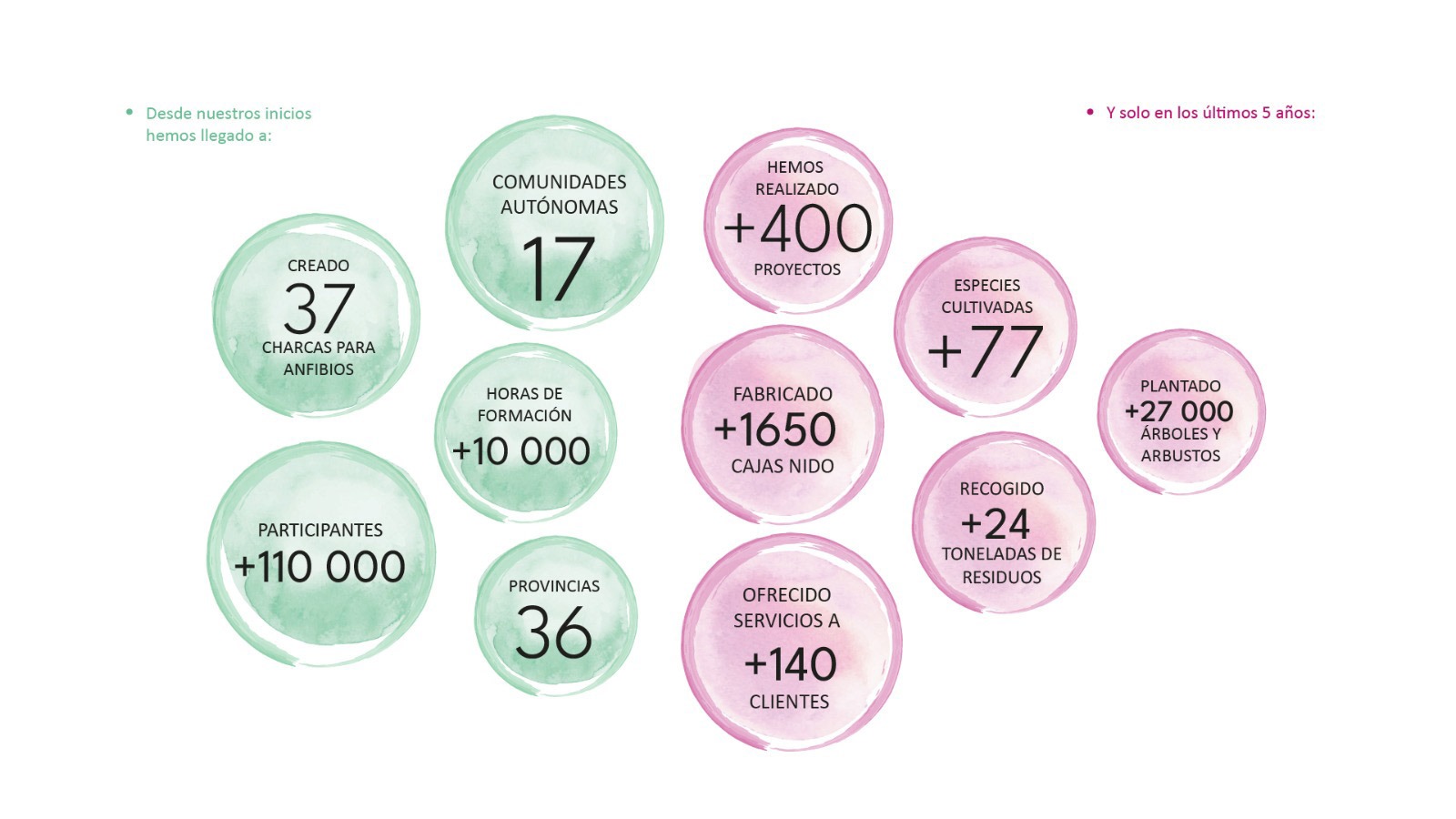 Infografía con datos de impacto sobre proyectos realizados por Ecoherencia