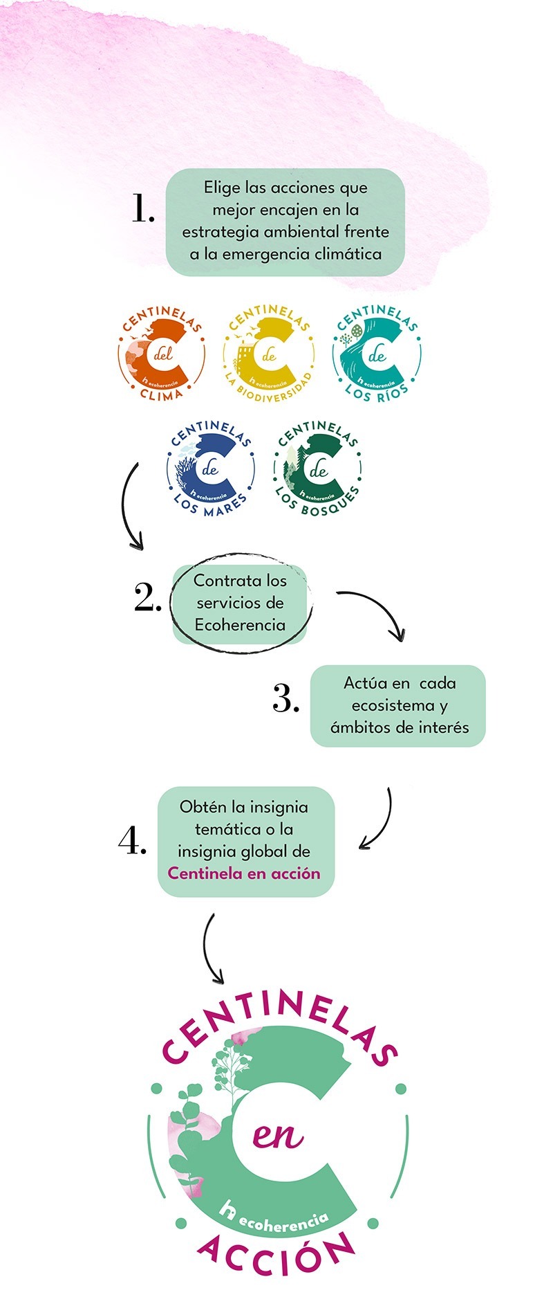Diagrama con pasos a seguir por los Centinelas en Acción