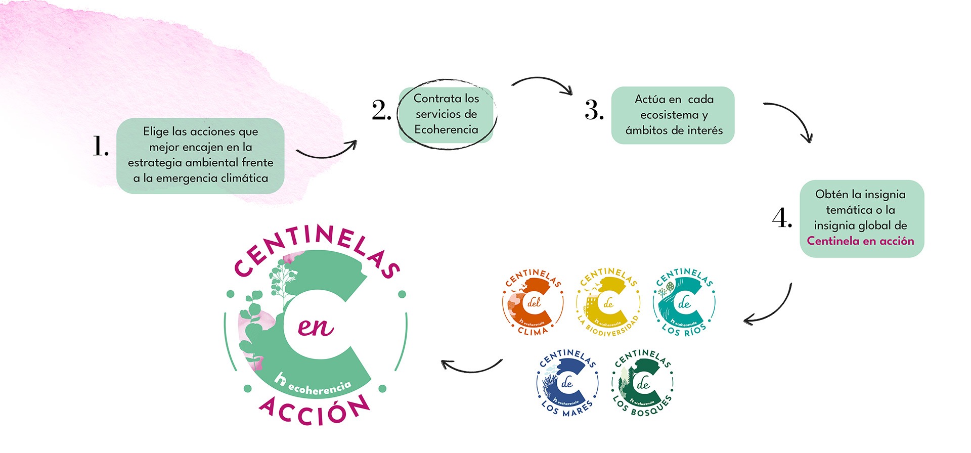 Diagrama con pasos a seguir por los Centinelas en Acción